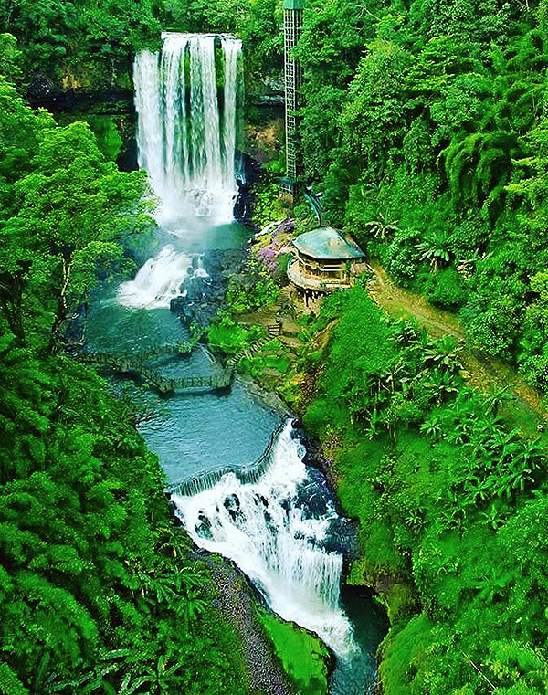 Кофе в зернах CUATTRO Vietnam Robusta Dambri Falls (Дамбри Фоллз) купить в магазине в Спб